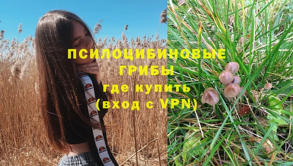 Альфа ПВП Алзамай