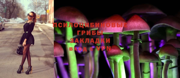 spice Алексин