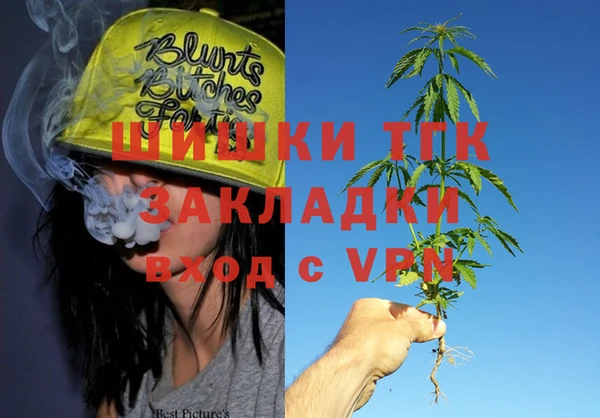 индика Алексеевка