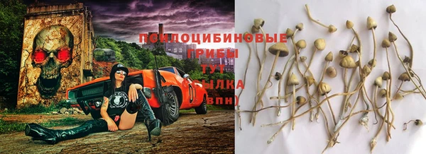 spice Алексин
