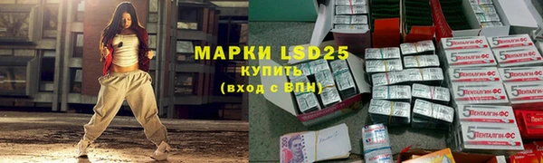индика Алексеевка