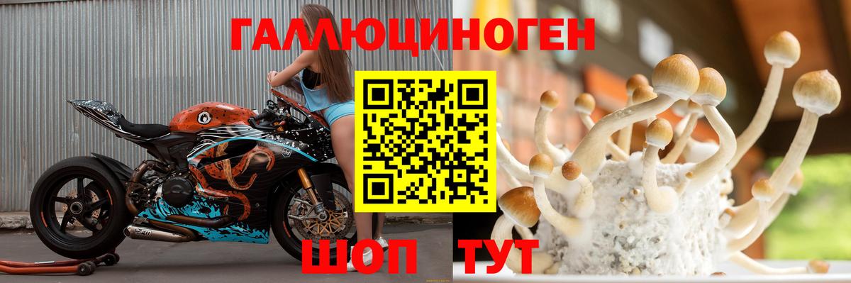 Анжеро-Судженск  Галлюциногенные грибы прущие грибы  Вход с VPN 